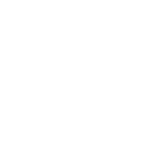 Honda approved training school